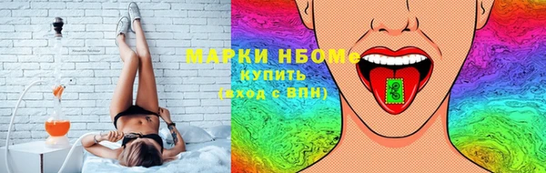 гашик Майский