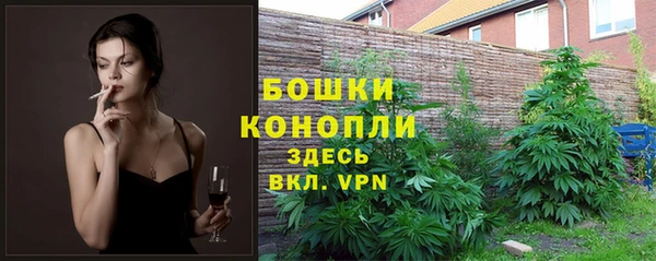 гашик Майский