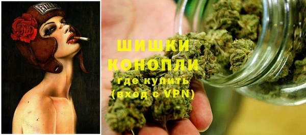 гашик Майский