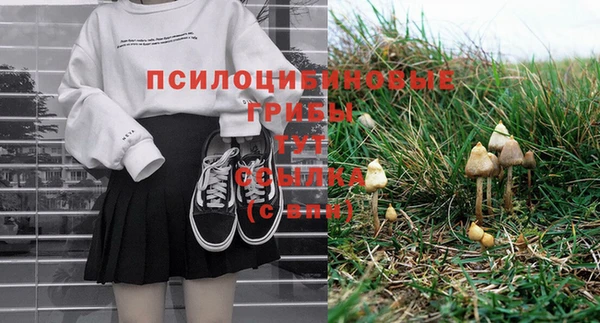 прущая мука Магас