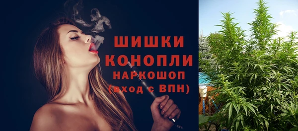 гашик Майский