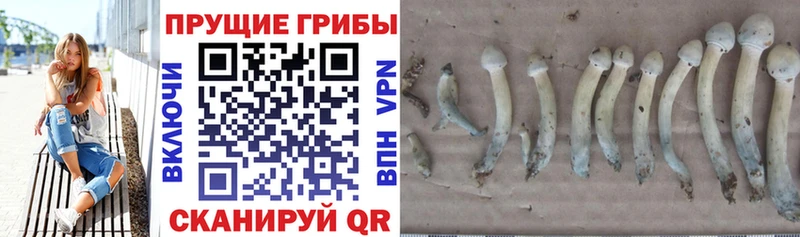 Псилоцибиновые грибы мухоморы  Поронайск 